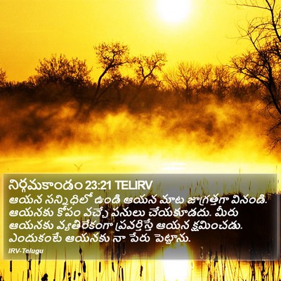 నిర్గమకాండం 23:21 TELIRV Bible Verse Image