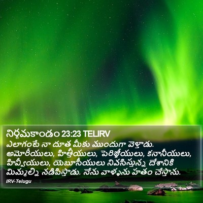 నిర్గమకాండం 23:23 TELIRV Bible Verse Image