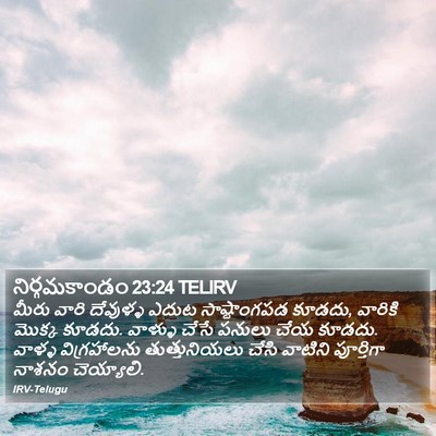 నిర్గమకాండం 23:24 TELIRV Bible Verse Image