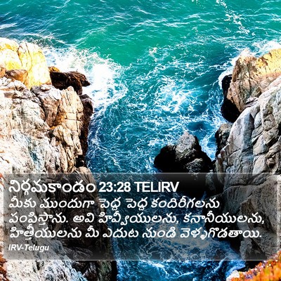 నిర్గమకాండం 23:28 TELIRV Bible Verse Image
