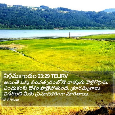 నిర్గమకాండం 23:29 TELIRV Bible Verse Image