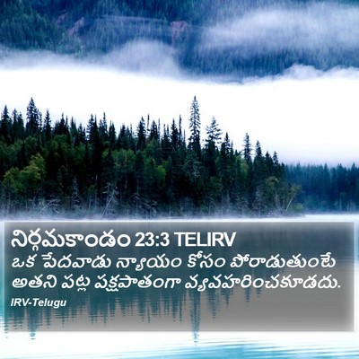 నిర్గమకాండం 23:3 TELIRV Bible Verse Image