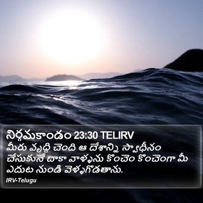 నిర్గమకాండం 23:30 TELIRV Bible Verse Image