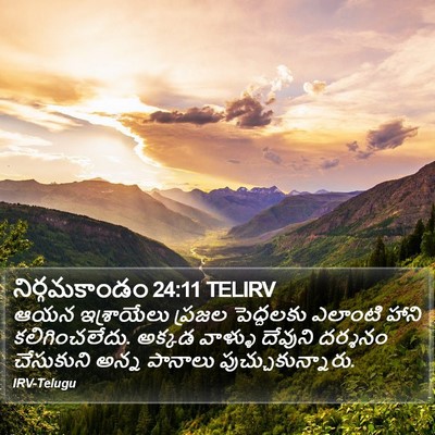 నిర్గమకాండం 24:11 TELIRV Bible Verse Image