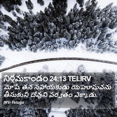 నిర్గమకాండం 24:13 TELIRV Bible Verse Image