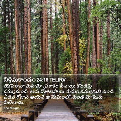 నిర్గమకాండం 24:16 TELIRV Bible Verse Image
