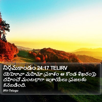 నిర్గమకాండం 24:17 TELIRV Bible Verse Image