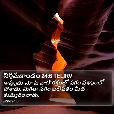 నిర్గమకాండం 24:6 TELIRV Bible Verse Image