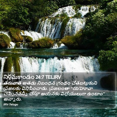నిర్గమకాండం 24:7 TELIRV Bible Verse Image