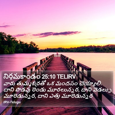 నిర్గమకాండం 25:10 TELIRV Bible Verse Image