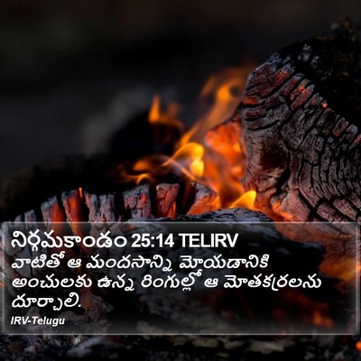 నిర్గమకాండం 25:14 TELIRV Bible Verse Image