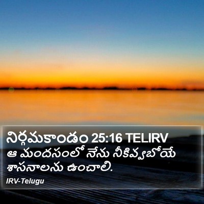 నిర్గమకాండం 25:16 TELIRV Bible Verse Image