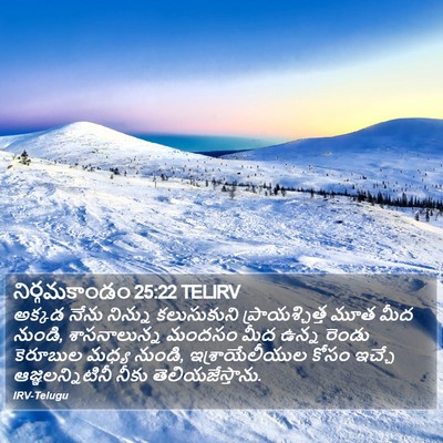 నిర్గమకాండం 25:22 TELIRV Bible Verse Image