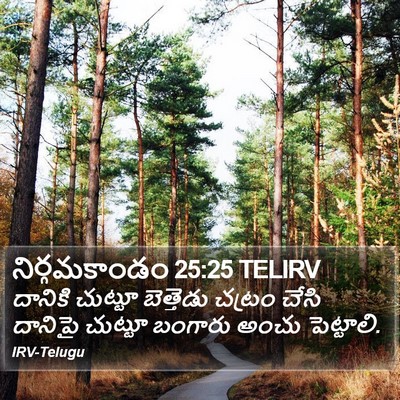 నిర్గమకాండం 25:25 TELIRV Bible Verse Image