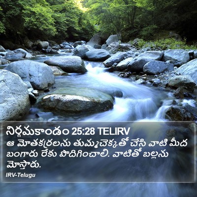 నిర్గమకాండం 25:28 TELIRV Bible Verse Image