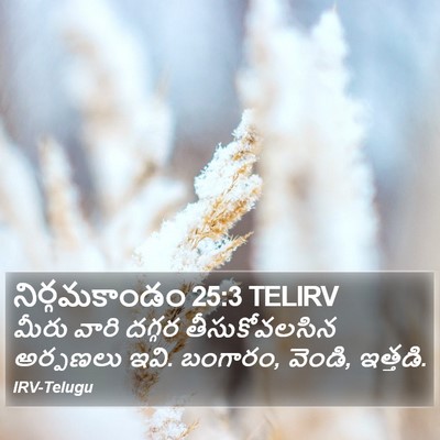 నిర్గమకాండం 25:3 TELIRV Bible Verse Image
