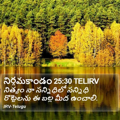 నిర్గమకాండం 25:30 TELIRV Bible Verse Image