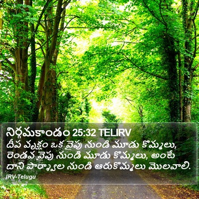 నిర్గమకాండం 25:32 TELIRV Bible Verse Image
