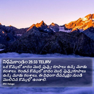 నిర్గమకాండం 25:33 TELIRV Bible Verse Image