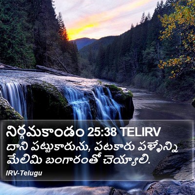 నిర్గమకాండం 25:38 TELIRV Bible Verse Image