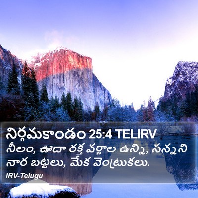 నిర్గమకాండం 25:4 TELIRV Bible Verse Image