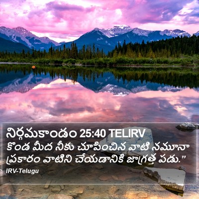 నిర్గమకాండం 25:40 TELIRV Bible Verse Image
