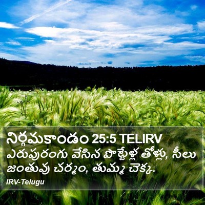 నిర్గమకాండం 25:5 TELIRV Bible Verse Image