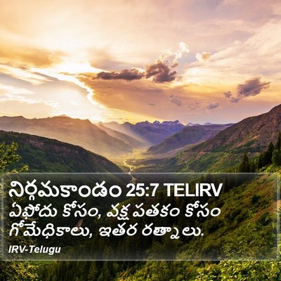 నిర్గమకాండం 25:7 TELIRV Bible Verse Image