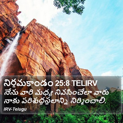 నిర్గమకాండం 25:8 TELIRV Bible Verse Image