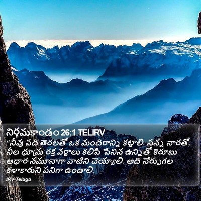 నిర్గమకాండం 26:1 TELIRV Bible Verse Image