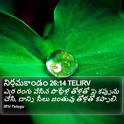 నిర్గమకాండం 26:14 TELIRV Bible Verse Image