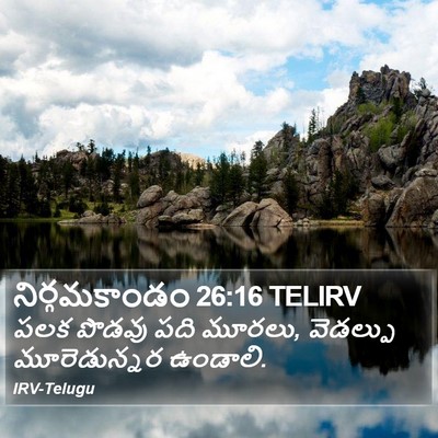 నిర్గమకాండం 26:16 TELIRV Bible Verse Image
