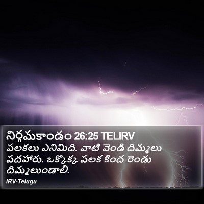నిర్గమకాండం 26:25 TELIRV Bible Verse Image
