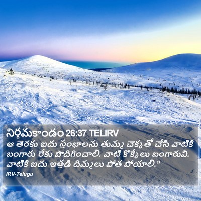 నిర్గమకాండం 26:37 TELIRV Bible Verse Image