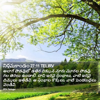 నిర్గమకాండం 27:11 TELIRV Bible Verse Image