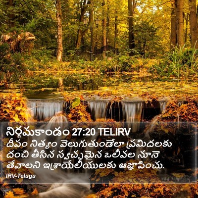 నిర్గమకాండం 27:20 TELIRV Bible Verse Image