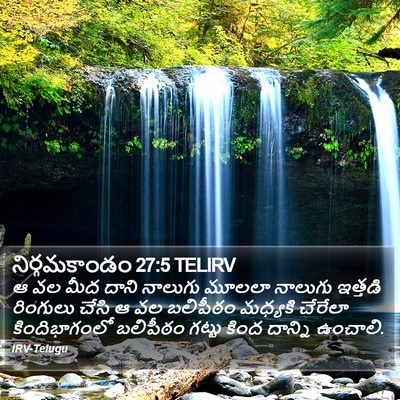నిర్గమకాండం 27:5 TELIRV Bible Verse Image