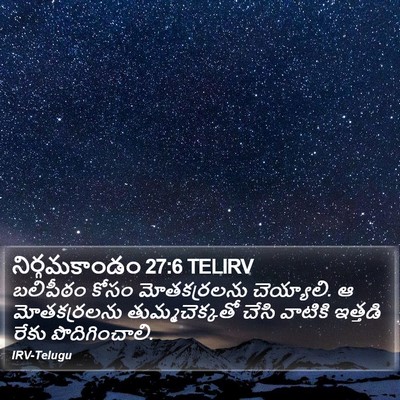 నిర్గమకాండం 27:6 TELIRV Bible Verse Image