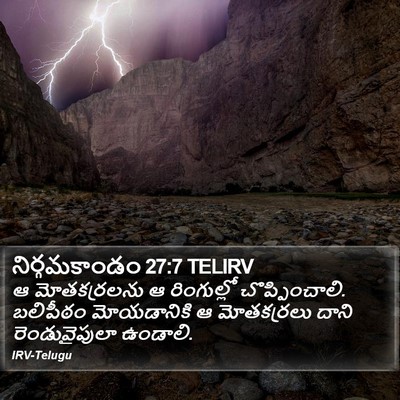 నిర్గమకాండం 27:7 TELIRV Bible Verse Image
