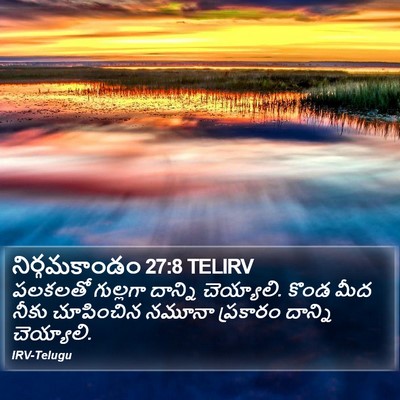 నిర్గమకాండం 27:8 TELIRV Bible Verse Image
