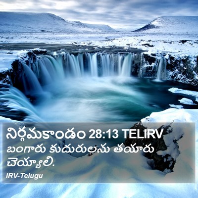 నిర్గమకాండం 28:13 TELIRV Bible Verse Image