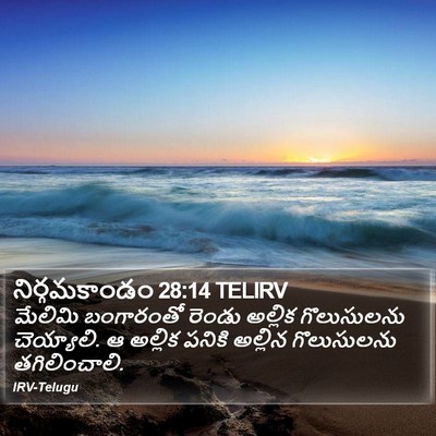 నిర్గమకాండం 28:14 TELIRV Bible Verse Image