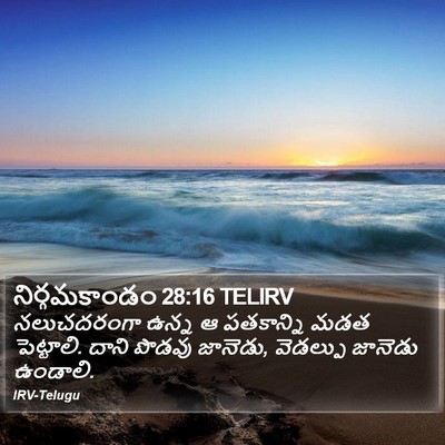 నిర్గమకాండం 28:16 TELIRV Bible Verse Image
