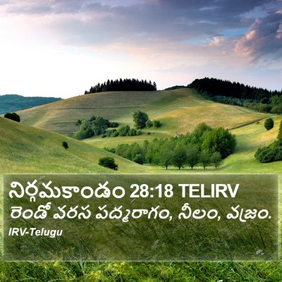 నిర్గమకాండం 28:18 TELIRV Bible Verse Image