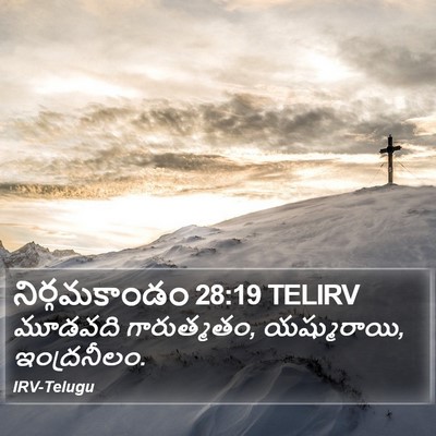 నిర్గమకాండం 28:19 TELIRV Bible Verse Image
