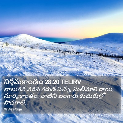నిర్గమకాండం 28:20 TELIRV Bible Verse Image
