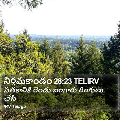 నిర్గమకాండం 28:23 TELIRV Bible Verse Image