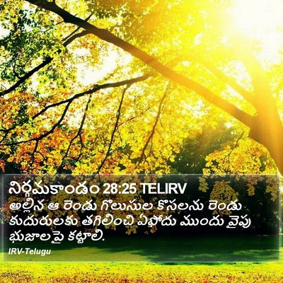నిర్గమకాండం 28:25 TELIRV Bible Verse Image