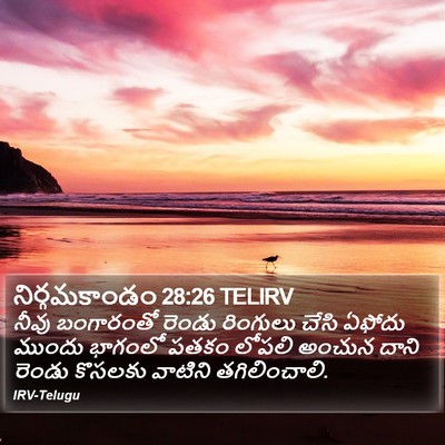 నిర్గమకాండం 28:26 TELIRV Bible Verse Image