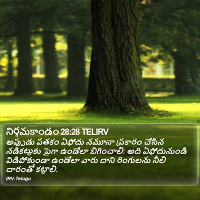 నిర్గమకాండం 28:28 TELIRV Bible Verse Image